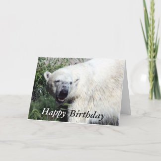 Polar Bear Birthday Card Karte