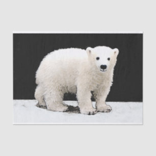 Polar Bear Cub Painting - Original Wildlife Art Seidenpapier