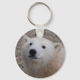 Polar Bear Cub Schlüsselanhänger