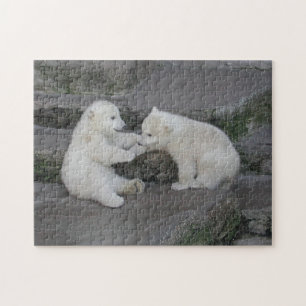 Polar Bear Cubs