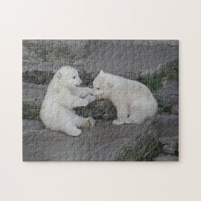 Polar Bear Cubs (Horizontal)
