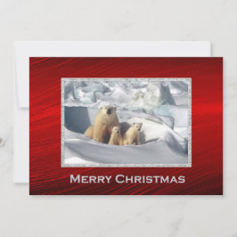 Polar Bear Cubs Schnee Foto Weihnachtswohnung Feiertagskarte