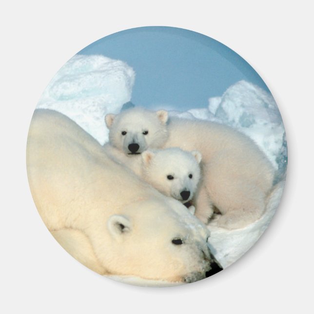 Polar Bear Family Magnet (Vorne)