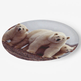 Polar Bear Family Pappteller