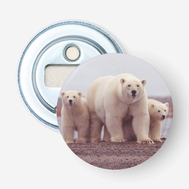Polar Bear Family Photo Flaschenöffner (Vorderseite)