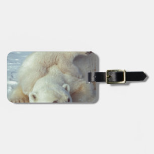 Polar Bear Gepäckanhänger
