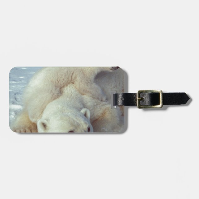 Polar Bear Gepäckanhänger (Vorderseite horizontal)