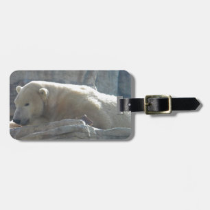 Polar Bear Gepäckanhänger