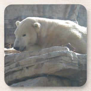 Polar Bear Getränkeuntersetzer