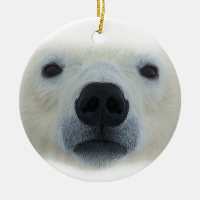 Polar Bear Keramikornament (Vorne)