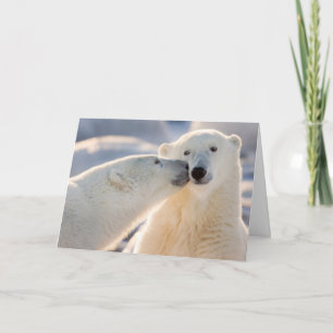 Polar Bear Kiss Feiertagskarte