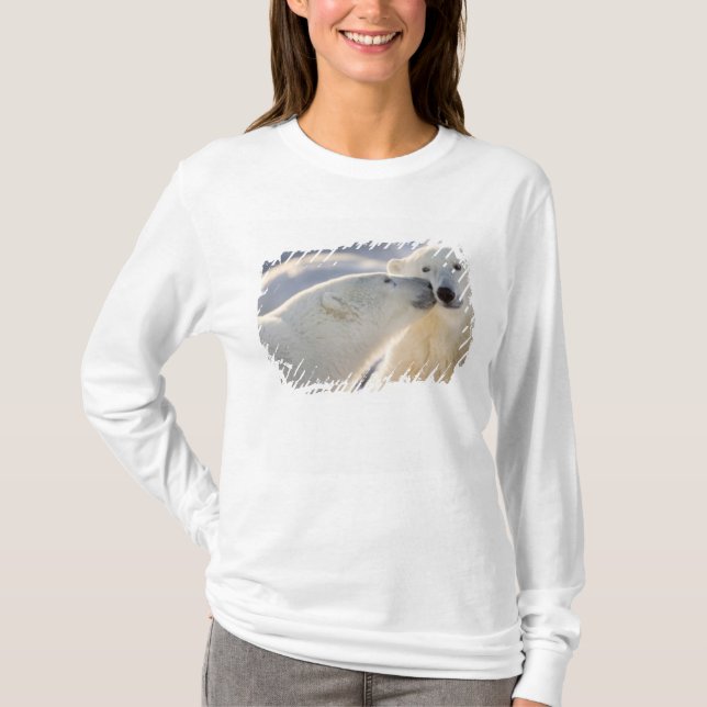 Polar Bear Kiss T-Shirt (Vorderseite)