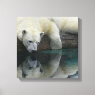 Polar Bear Leinwand - Spiegelbild des Polarbären