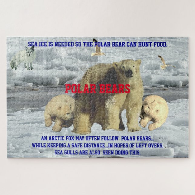 Polar Bear Life 20" x 30", 1014 Stück (Horizontal)