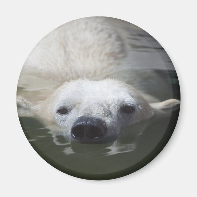 Polar Bear Magnet (Vorne)