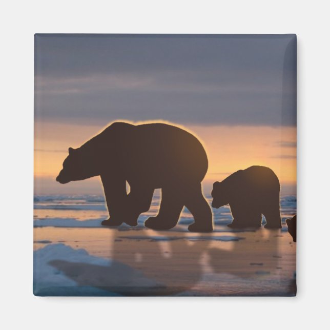 Polar Bear Magnet (Vorne)