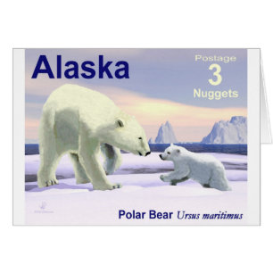 Polar Bear - Mama Nose Best
