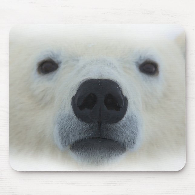 Polar Bear Mousepad (Vorne)