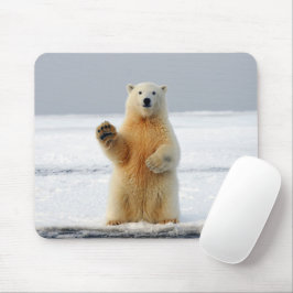Polar Bear Mousepad
