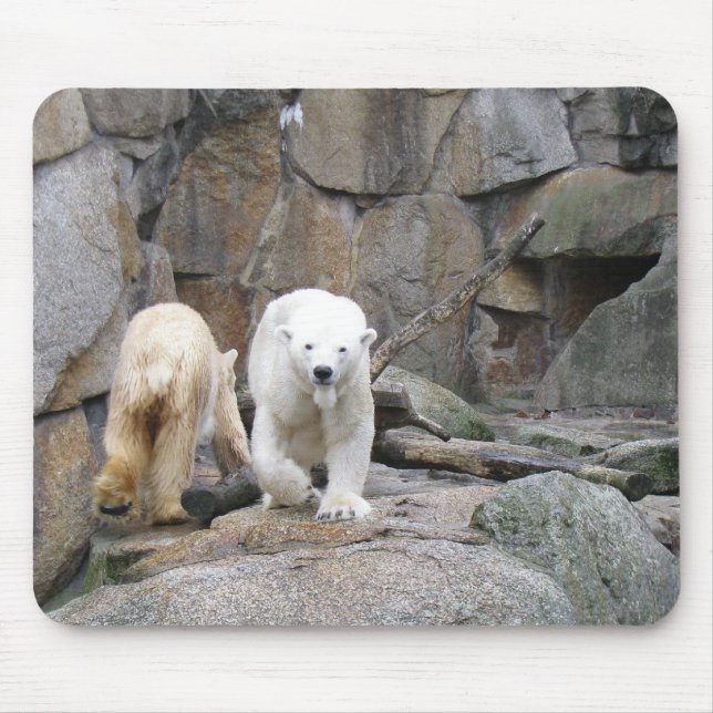 POLAR BEAR mousepad (Vorne)