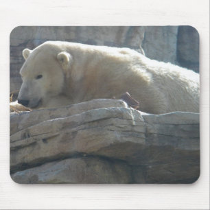 Polar Bear Mousepad