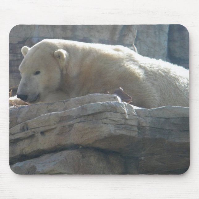 Polar Bear Mousepad (Vorne)