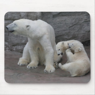 Polar Bear Mum und Cubs Mousepad