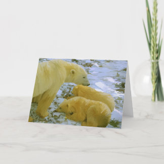 Polar Bear Mutti und ihre Naben Schreibwaren leere Dankeskarte