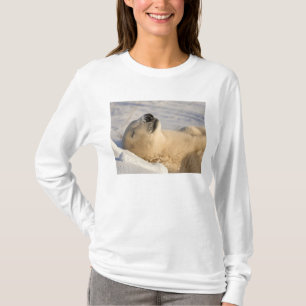 Polar Bear Nickerchen T-Shirt