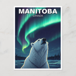 Polar Bear Nordelichter Manitoba Kanada Postkarte