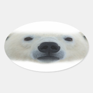 Polar Bear Ovaler Aufkleber