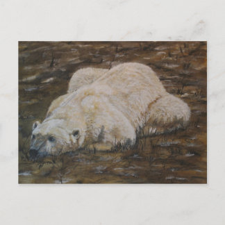 Polar Bear Post Card Postkarte
