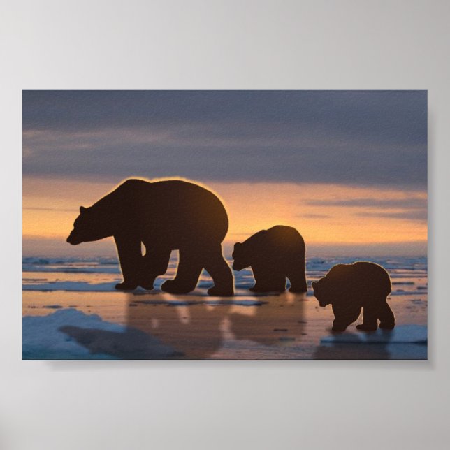 Polar Bear Poster (Vorne)