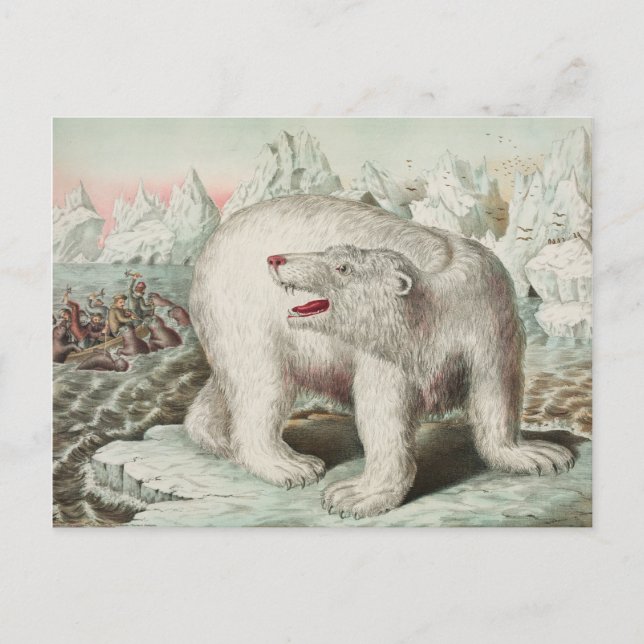 Polar Bear Poster Postkarte (Vorderseite)