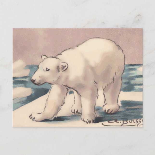 Polar Bear Postkarte (Vorderseite)
