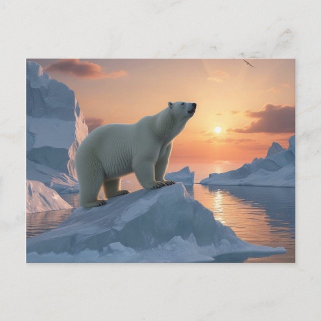 Polar Bear Postkarte (Vorderseite)