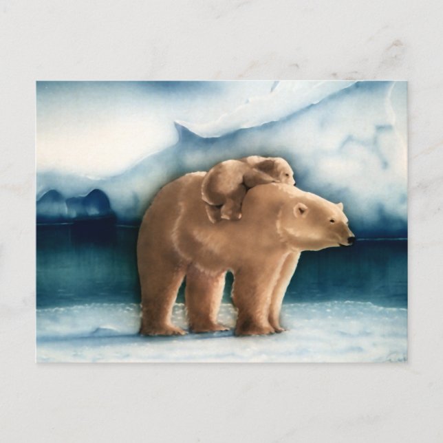 Polar Bear Postkarte (Vorderseite)