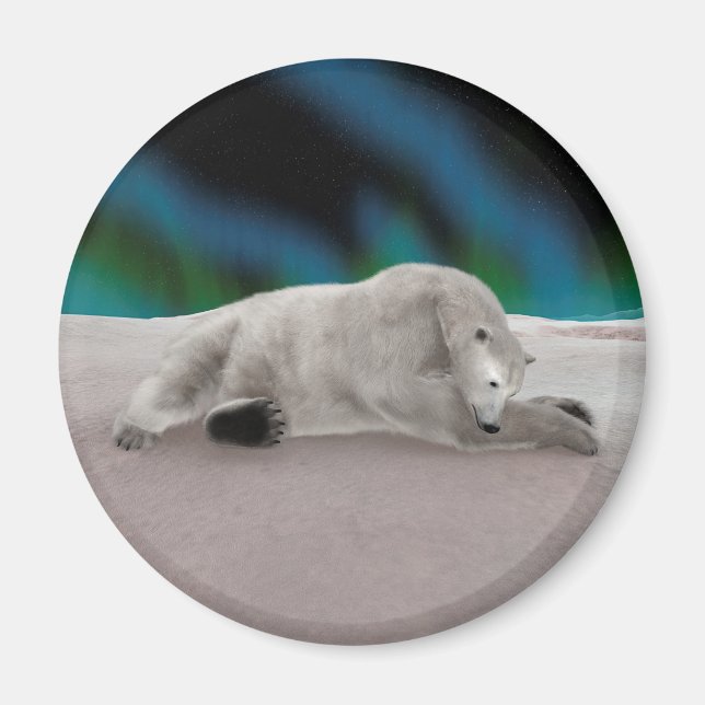 Polar Bear Resting Magnet (Vorne)