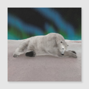 Polar Bear Resting Magnetkarte