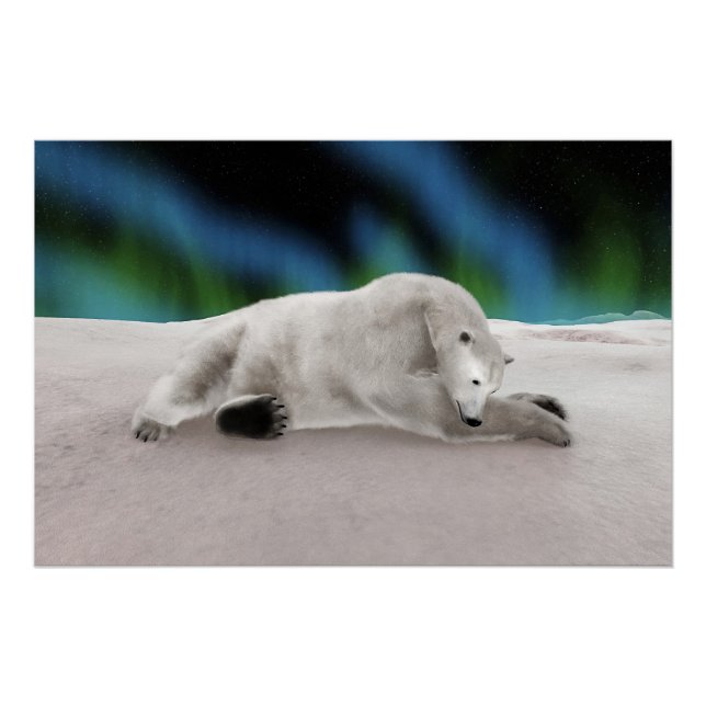 Polar Bear Resting Poster (Vorderseite)
