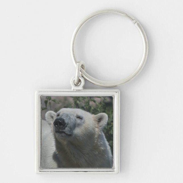 Polar Bear Schlüsselanhänger (Vorne)