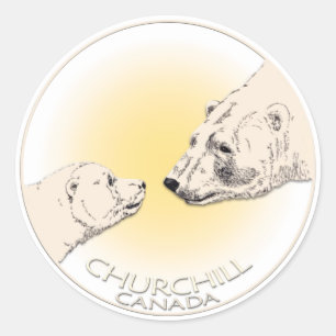 Polar Bear Stickers Churchill Canada Bärenaufklebe