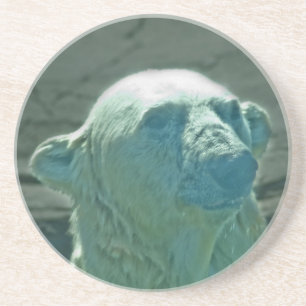 Polar Bear Untersetzer