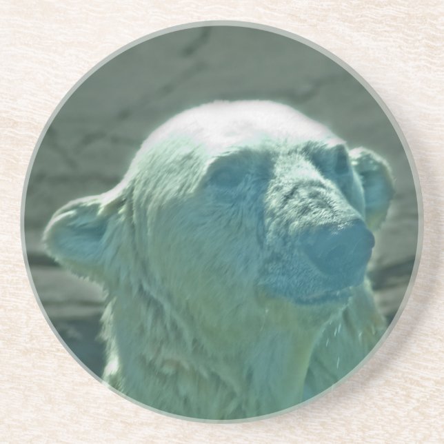 Polar Bear Untersetzer (Vorne)