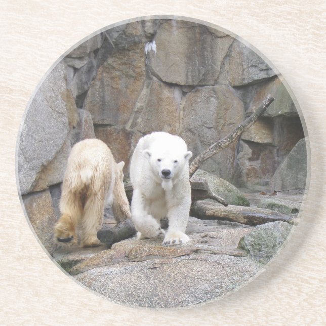 POLAR BEAR UNTERSETZER (Vorne)