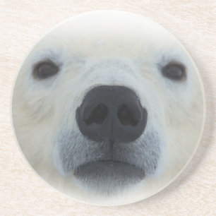 Polar Bear Untersetzer