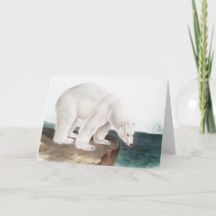 Polar Bear (Ursus maritimus) Illustration Karte