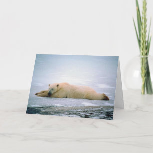 Polar Bear Vermisst You Card Karte