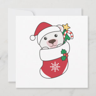 Polar Bear Weihnachtsschnee Wintertiere Polar Einladung