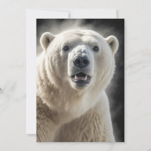 Polar Bear Wild Animal Elegantes Dramatisches Port Ankündigung